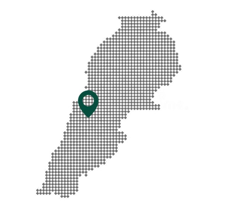 Workshop location map in Lebanon